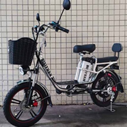 cheap best scooter r806l 18inch wheel 500w 20ah