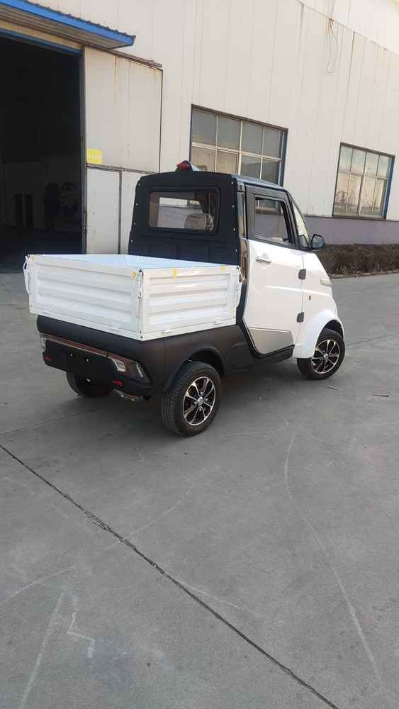 electric car eco manufacturer dealer wholesale