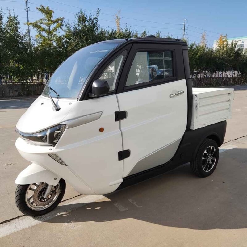 electric car launch today manufacturer dealer wholesale