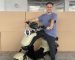 2 Wheeler Electric: Advantages and Disadvantages